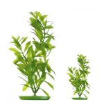 PLASTPLANTE: HYGROPHILA