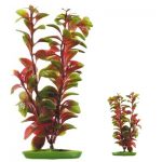 PLASTPLANTE: RØD LUDWIGIA