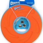 Chuckit Zipflight Medium