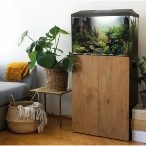LEDDY 60 XL (72 LTR.) - Image 2